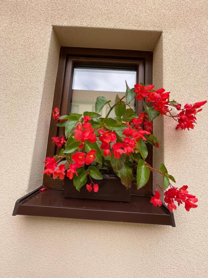 Sloneczne Apartamenty Polanica-Zdroj Luaran gambar
